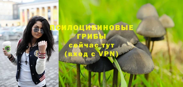 a pvp Арсеньев