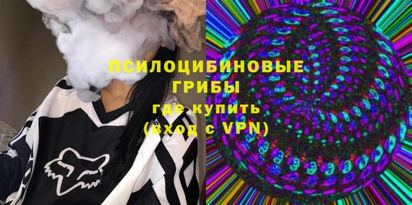 спиды Аркадак